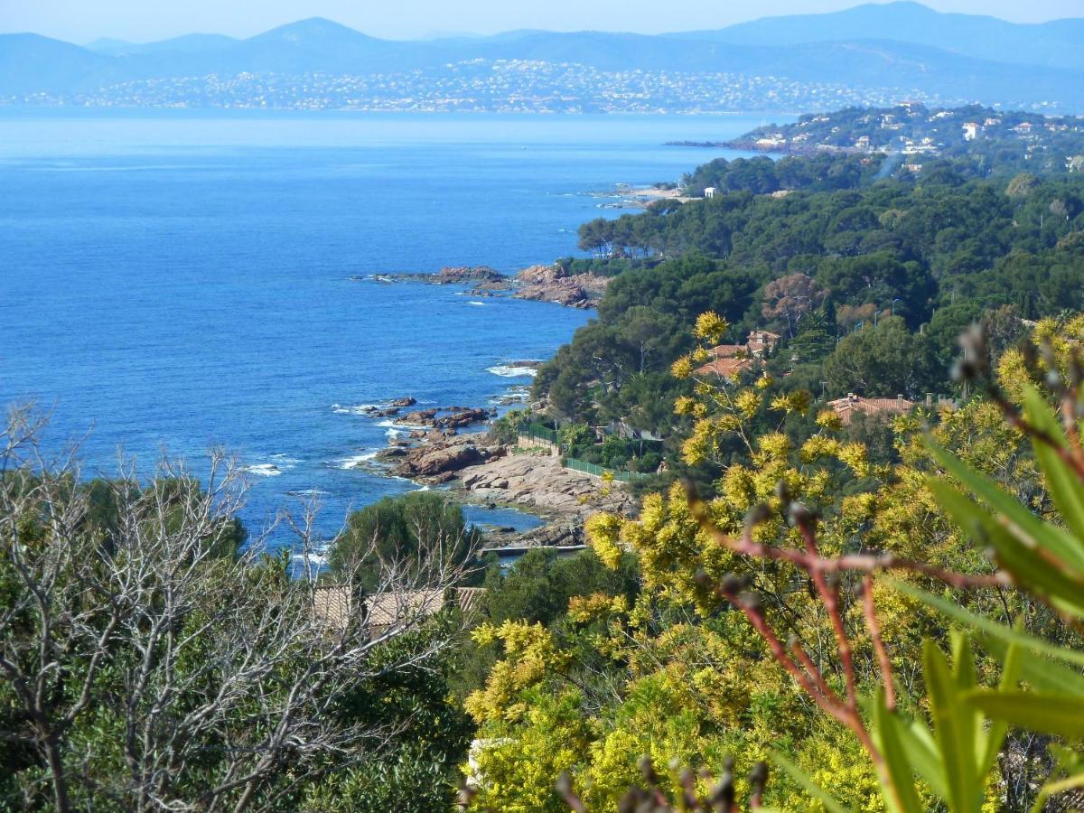 Duplex, Vue Panoramique Sur La Mediterranee, Piscine, Garage Saint-Raphaël Екстериор снимка